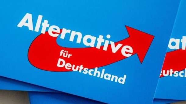 حزب البديل الألماني يجمع أكثر من مليوني يورو تبرعات